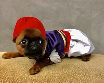 Aladdin, Aladdin dog costume, Halloween dog costume, Aladdin dog outfit
