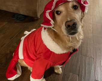 Mrs. Claus dog dress, Mrs. Claus dog costume, Christmas dog costume, Holiday dog costume, Fancy dog outfit, Dog costume