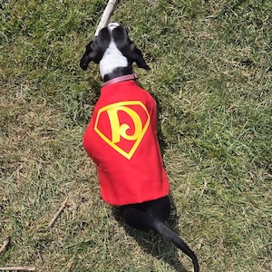 Super Dog cape, Superhero dog costume, Krypto dog cape, Halloween dog costume, Personalized dog cape