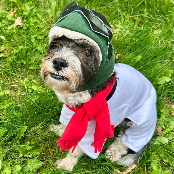 Red Baron Snoopy Dog Costume: The Peanuts Halloween Outfit