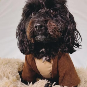 Jedi Dog Costume: Star Wars Obi Wan Kenobi Outfit