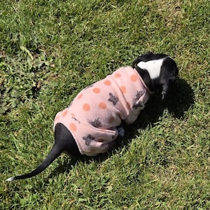 May include: A small black and white dog wearing a pink fleece dog sweater with orange polka dots and black floral designs. The dog is lying on green grass in the sunlight.