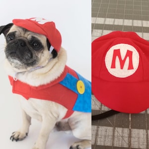 Mario dog costume,  mario kart costume, Halloween dog costume, costume for a dog