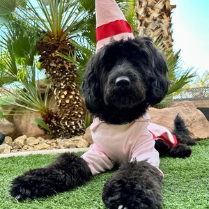 Bud Elf Dog Outfit Etsy