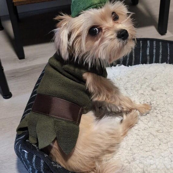 Peter pan, Peter pan dog costume, Peter pan dog outfit, Robin Hood dog costume, Robin Hood dog outfit, Halloween dog costume