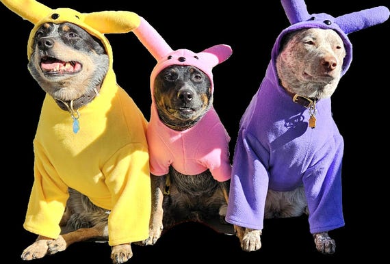 Easter Peeps dog costume, Easter dog costume, Bunny dog outfit, Peeps dog outfit