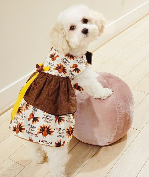 Thanksgiving Outfit Turkey Dog Dress Turkey Dog Outfit Girl 