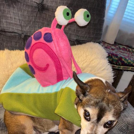 Gary Snail dog costume, Snail dog outfit, Halloween dog outfit, Dog Costume