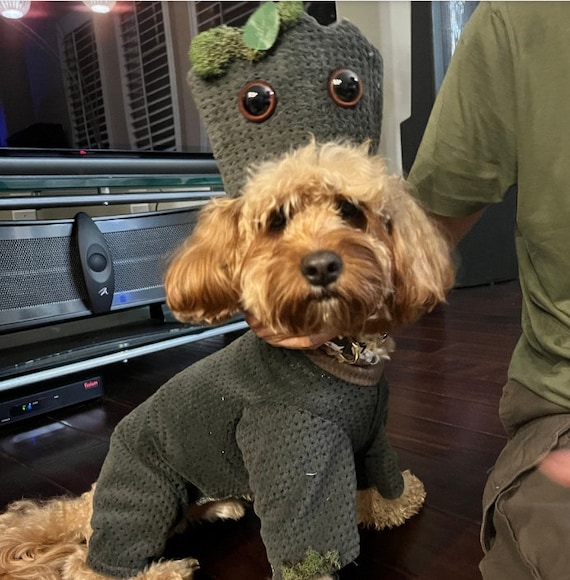 Groot, Guardian of the Galazy; Groot dog costume, Halloween dog costume