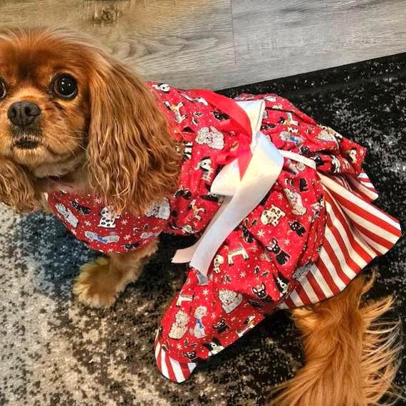Christmas Dog Dress: Candy Cane Holiday Outfit, Red & White Stripes - Etsy Christmas Dog Dress: Candy Cane Holiday Outfit, Red & White Stripes - Etsy