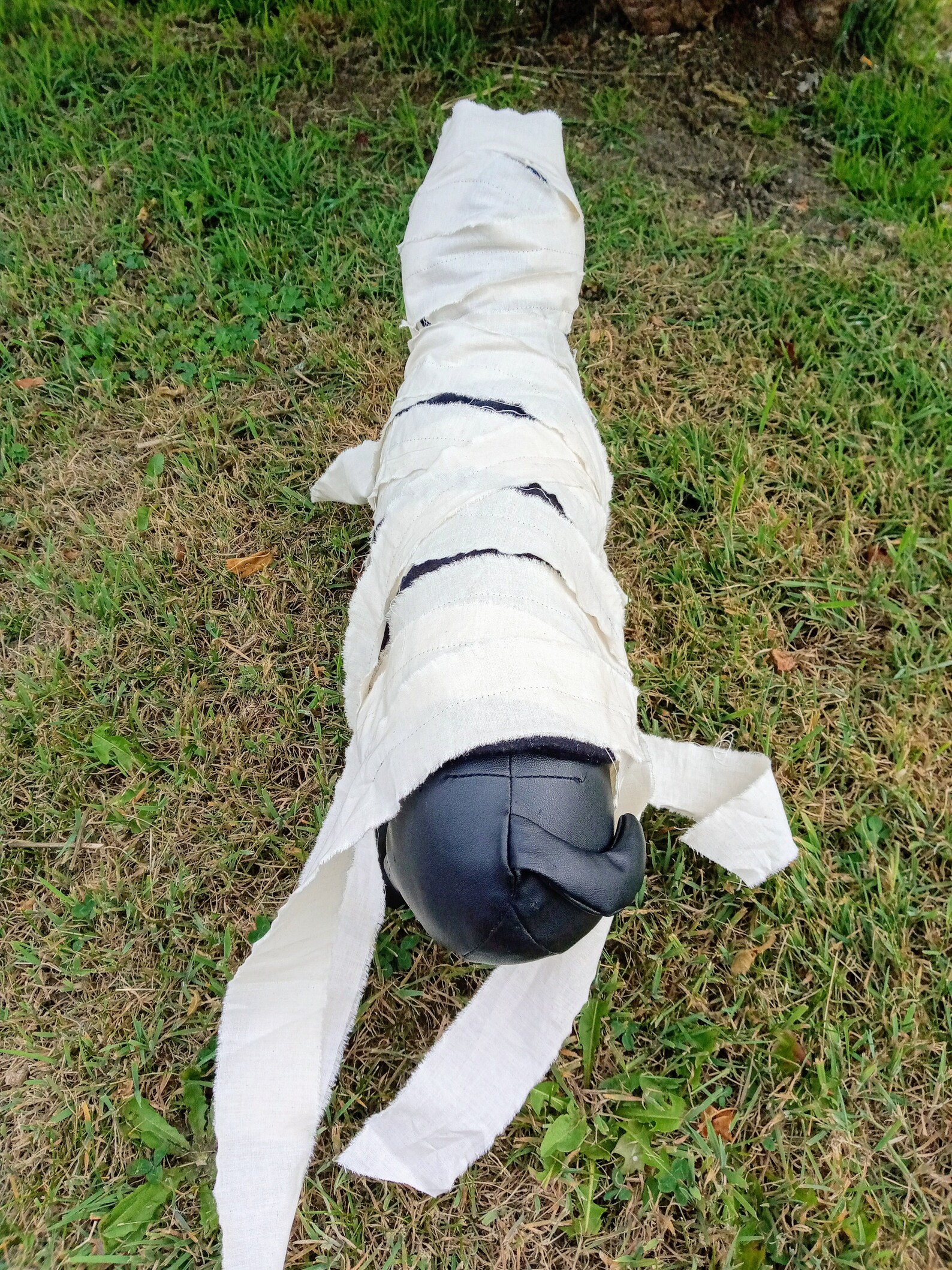 Mummy Dog Costume Halloween Dog Outfit Costume for Dogs Etsy