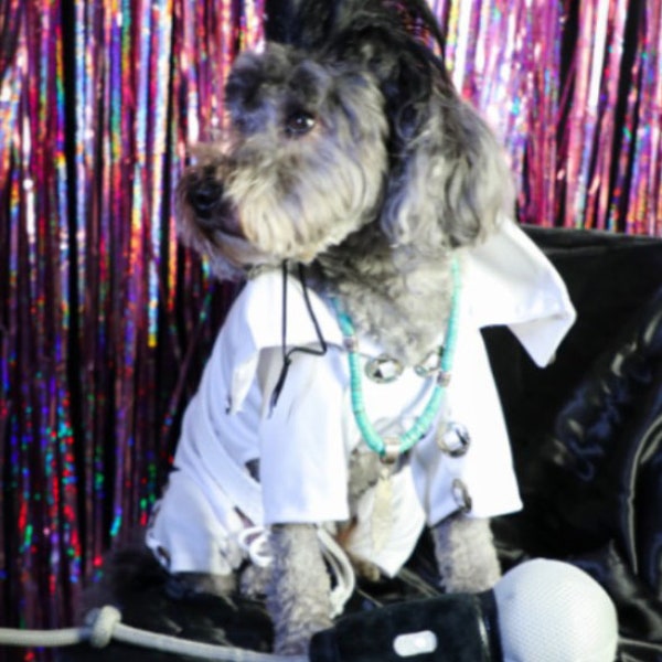 Elvis Presley dog costume, Elvis white jumper dog costume, Elvis dog outfit, Halloween dog costume, Costumes for dogs, Rock star dog cosume