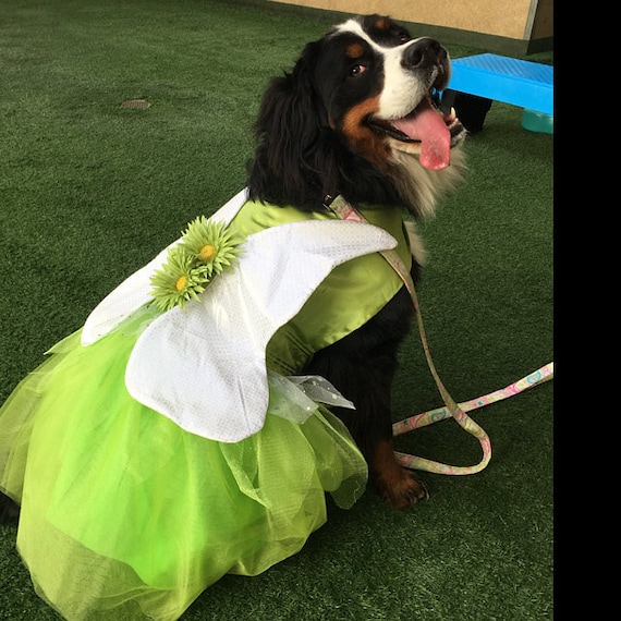 Tinkerbell Dog Costume: Green Fairy Dress with Wings