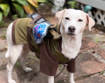 Link dog costume, Legend of Zelda, Warrior dog costume, Zelda dog costume, Medieval dog outfit, Halloween dog costume, Dog costume