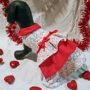 Vestito per cani di San Valentino, San Valentino, vestito per cani da infermiera, vestito elegante per cani, vestito per cani da ragazza, vestito per cani per il giorno dell&#39;indipendenza