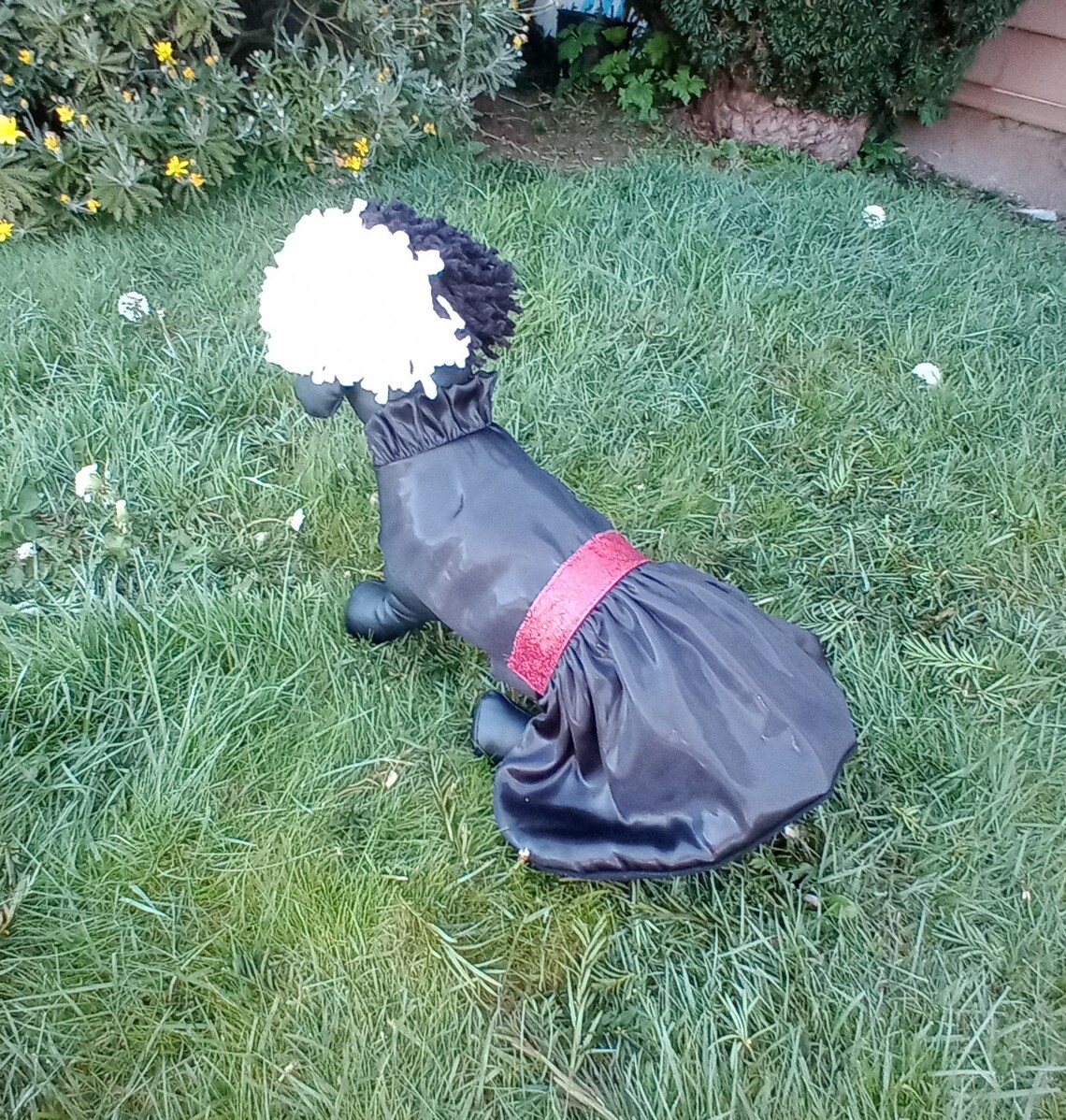 Cruella De Vil Hund Kostüm Cruella De Vil Hund Kleid Etsy