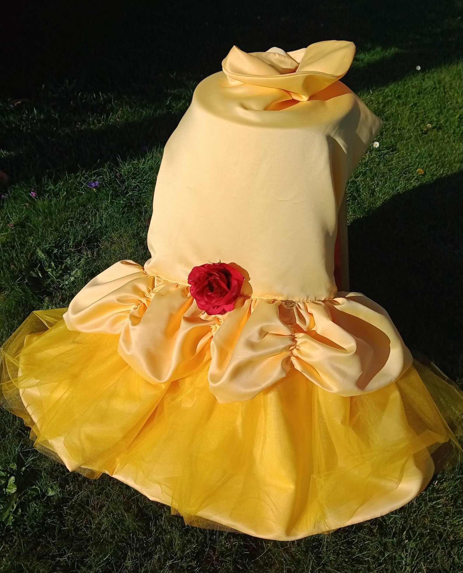 Belle Dog Costume Beauty and the Beast Dog Costume Princess Etsy