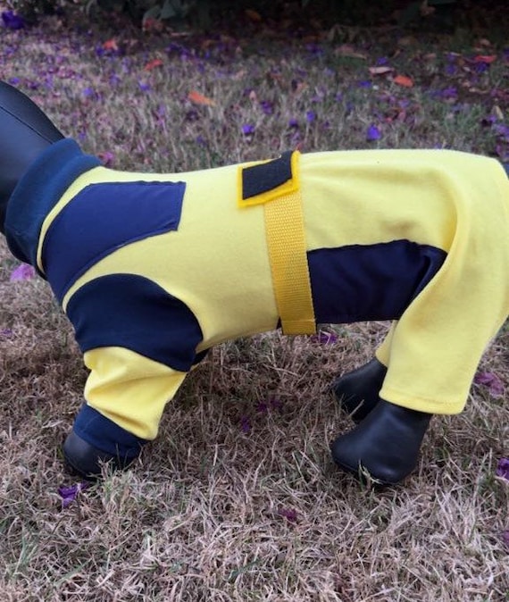 Wolverine, Wolverine dog costume, XMen dog costume, Halloween dog costume