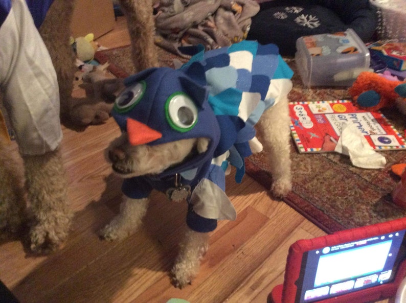 Dog Owl Costume
 Owl Dog Costume O the Owl Dog Owl Costume Daniel Tiger Dog Etsy
