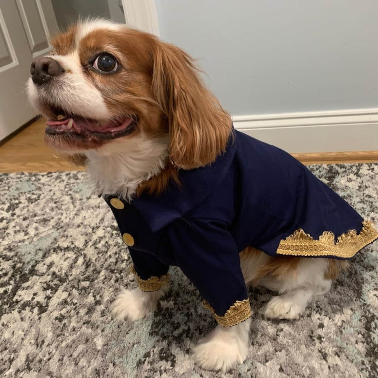 Beauty and the Beast Beast Dog Jacket Prince Dog Costume Etsy