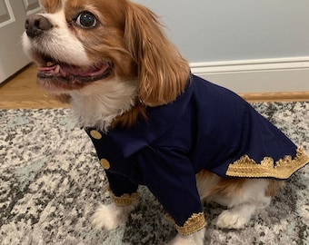 Beauty and the Beast, Beast dog jacket, Prince dog costume, Beast dog costume, Halloween dog outfit