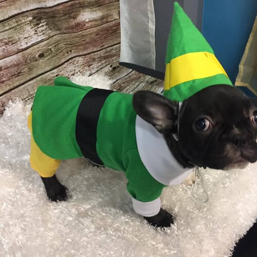 dog elf outfit
