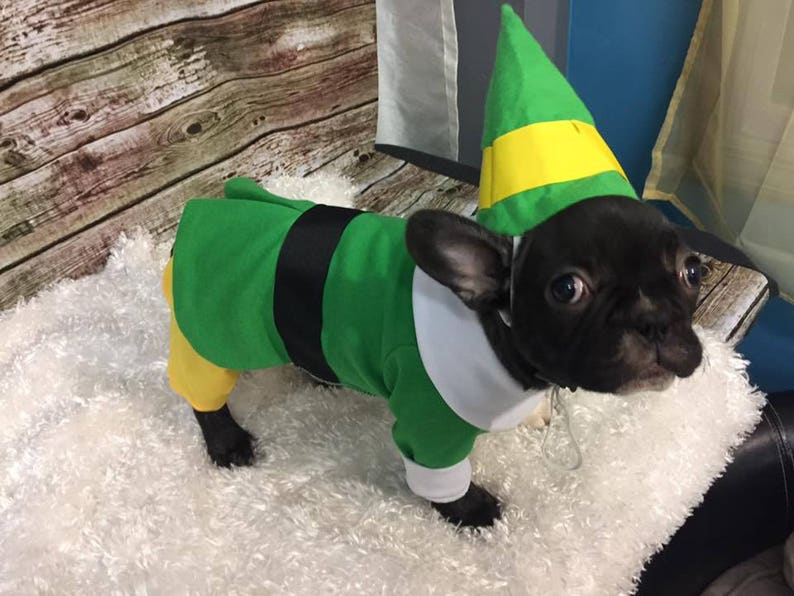 dog elf outfit