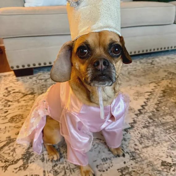 Glinda the Good Witch Dog Costume: Pink Satin Halloween Outfit