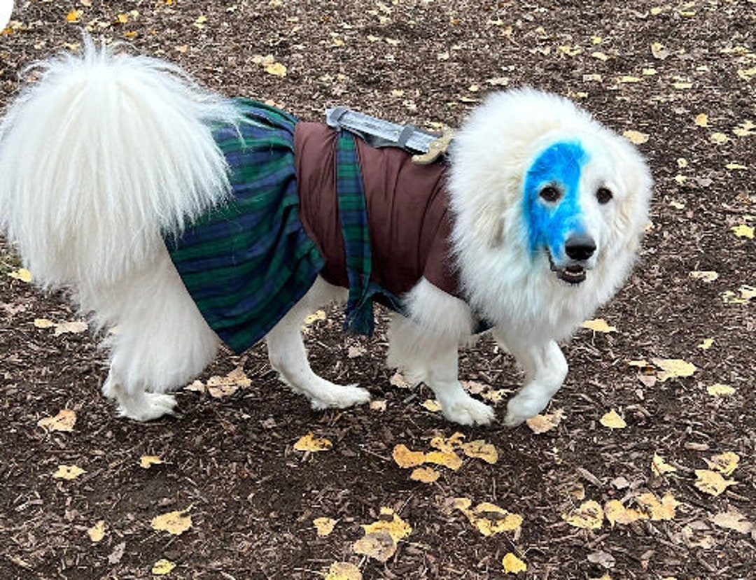 Braveheart Dog Costume Medieval Costume Halloween Dog - Etsy