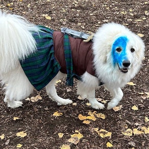 Braveheart Dog Costume: Medieval Scottish Plaid Outfit with Sword