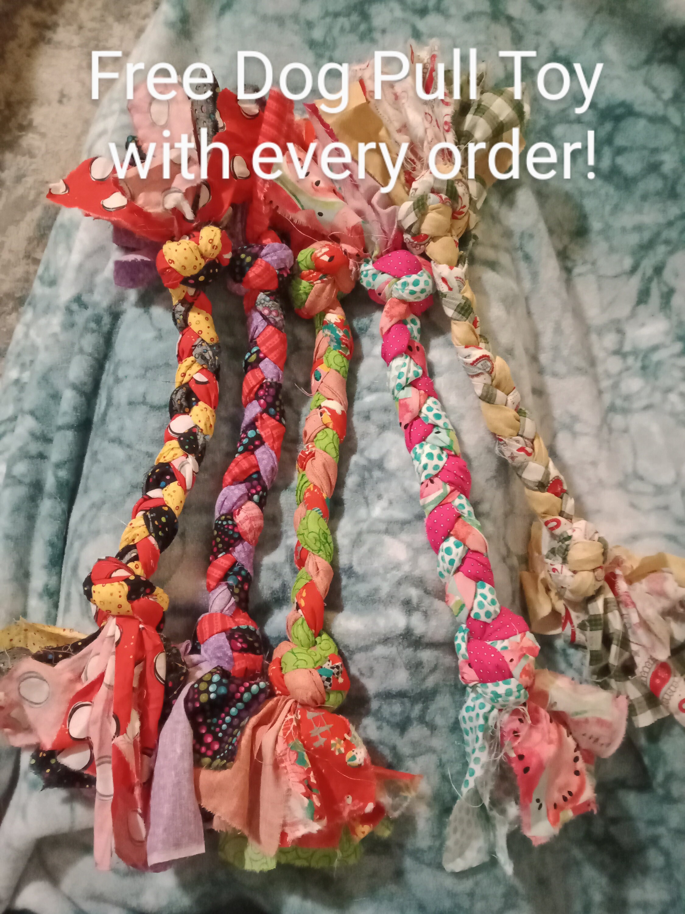 Nutcracker Dog Costume Nutcracker and the 4 Realms Christmas Etsy