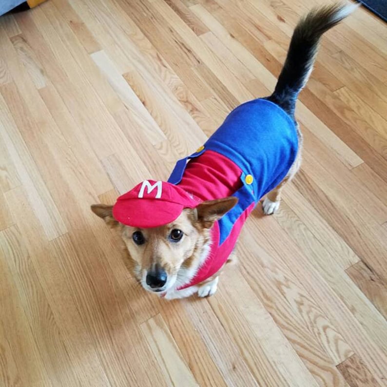 Mario Dog Costume Mario Kart Costume Halloween Dog Costume Etsy
