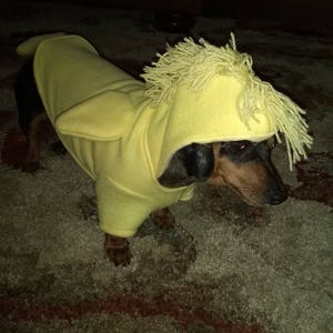 snoopy dog costume for dogs