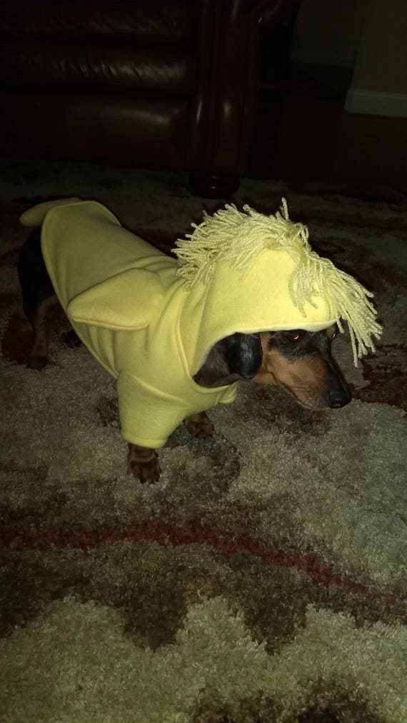 The Peanuts, Woodstock dog costume, Bird dog costume, Halloween dog costume