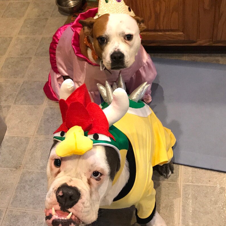 Bowser Dog Costume
 Bowser dog costume Bowser mario kart costume Mario and