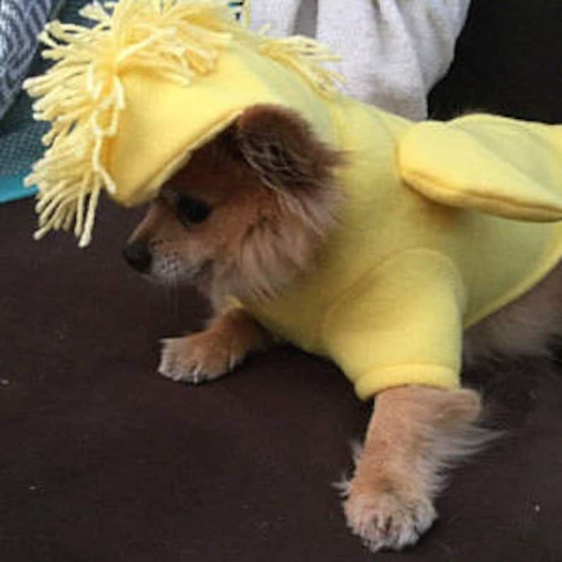 The Peanuts Woodstock dog costume Halloween dog costume Etsy