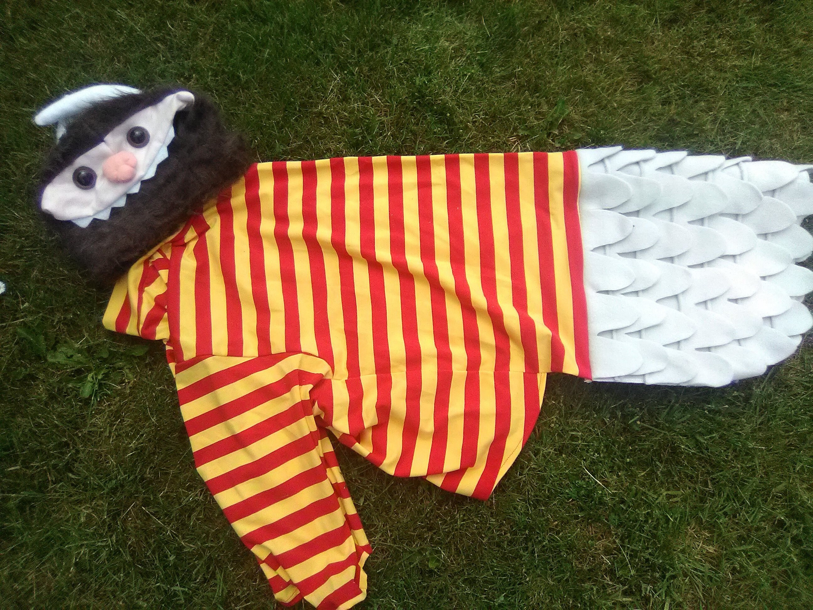 Where the Wild Things Are Dog Costume, Wild Things Carol dog Costume