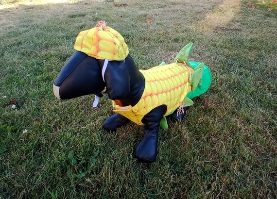 Corn on the cob dog costume, Corn dog costume, Halloween dog outfit, Costume for dogs
