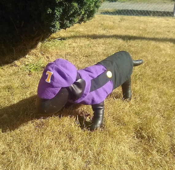 Waluigi dog costume, Waluigi dog jacket, Mario Cart dog costume, Halloween dog costume, dog jacket, Flannel dog jacket