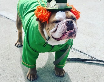 Leprechaun Dog costume, St. Patrick's Day dog outfit, dog jacket, Fancy dog jacket