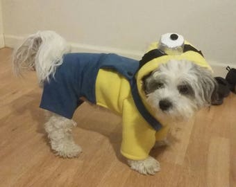 Minions, Despicable Me, Minion dog costume, Halloween dog costume