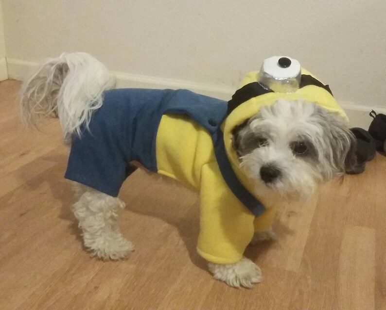 Minions Despicable Me Minion Dog Costume Halloween Dog Etsy