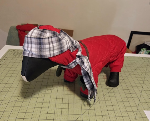 Red Snowsuit dog costume: Christmas Carol, Jumpsuit and Scarf