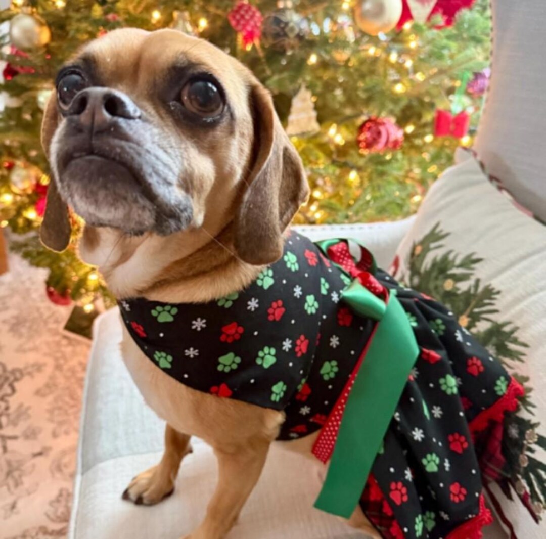 holiday dog dresses Christmas Ribbon Dog Dress, Coquette Holiday Pet Outfit, Custom Fit