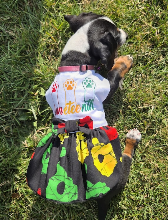 Juneteenth gift, Juneteenth dog dress, Juneteenth dog costume, Dog dress, Summer dog dress