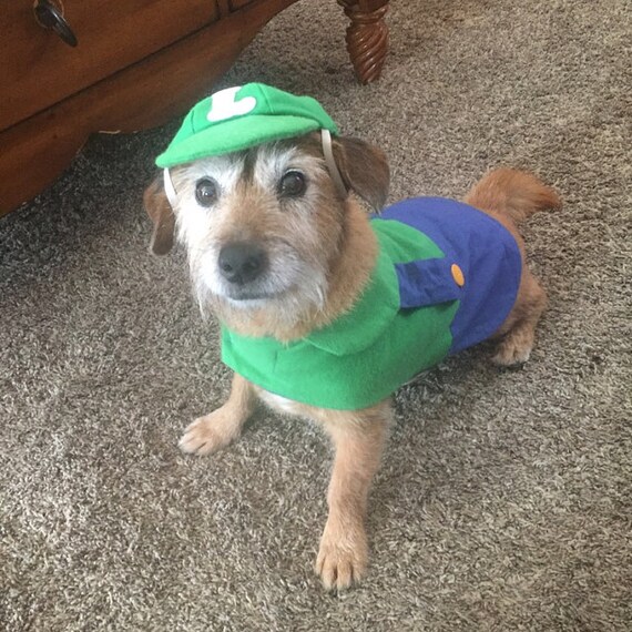 Luigi Hundekostum Mario Kart Kostum Halloween Hundekostum Etsy
