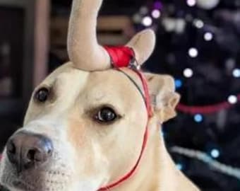 Grinch Max Hundegeweih Kostüm: Weihnachtliches Haustier Accessoire