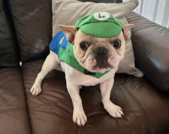 Luigi Dog Costume,  mario kart costume, Halloween dog costume, costume for dogs
