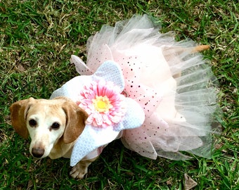 Fairy dog dress, Fairy dog costume, Tinkerbell dog costume, Halloween dog outfit