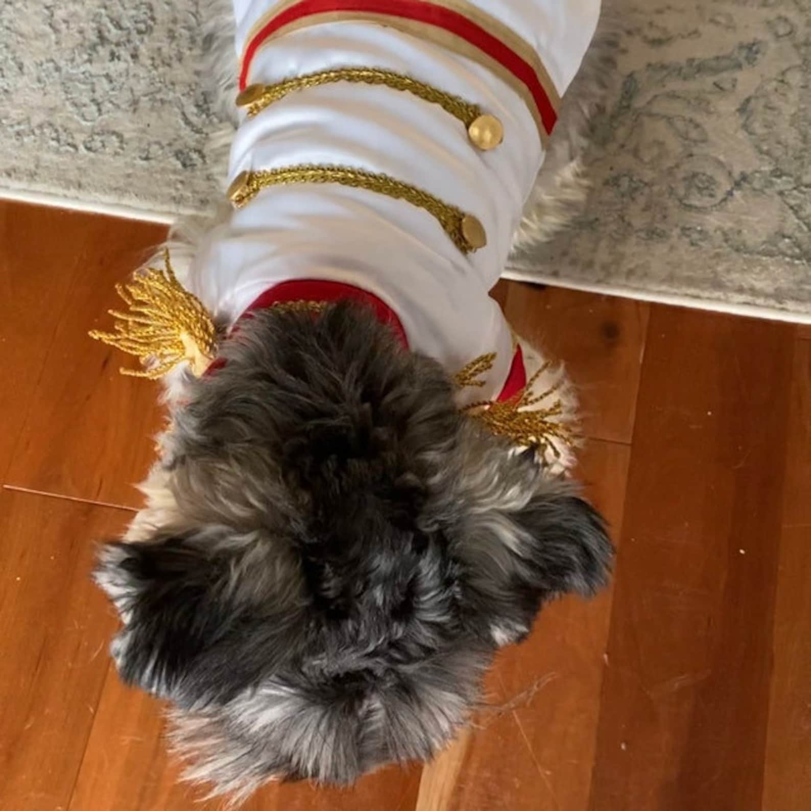 Prince Charming Dog Costume Prince Charming Dog Outfit Etsy